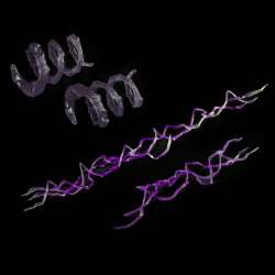 Magic Effects - Evil - Mythic Legions